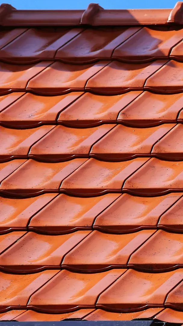 Beschikbare premies en subsidies voor de plaatsing van een nieuw dak ter ondersteuning van energiezuinige renovaties.