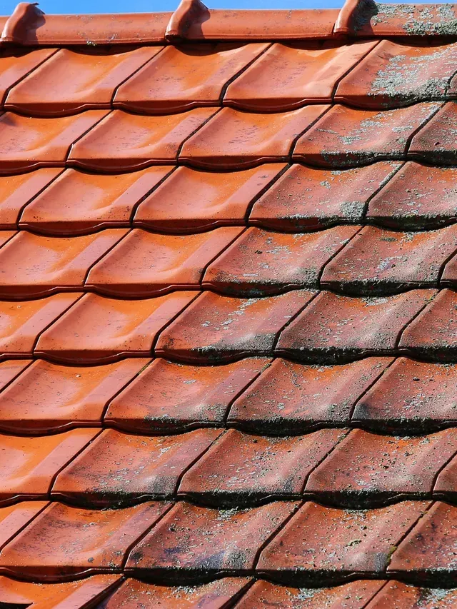 Verschillende reinigingsmethoden voor daken, zoals stoomreiniging, hogedrukreiniging en chemische behandeling voor optimale resultaten.