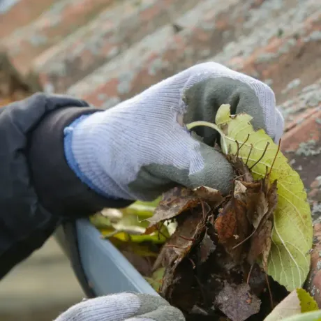 Professionele schoorsteenwerken, inclusief renovatie, reiniging en onderhoud voor een veilige en efficiënte werking.