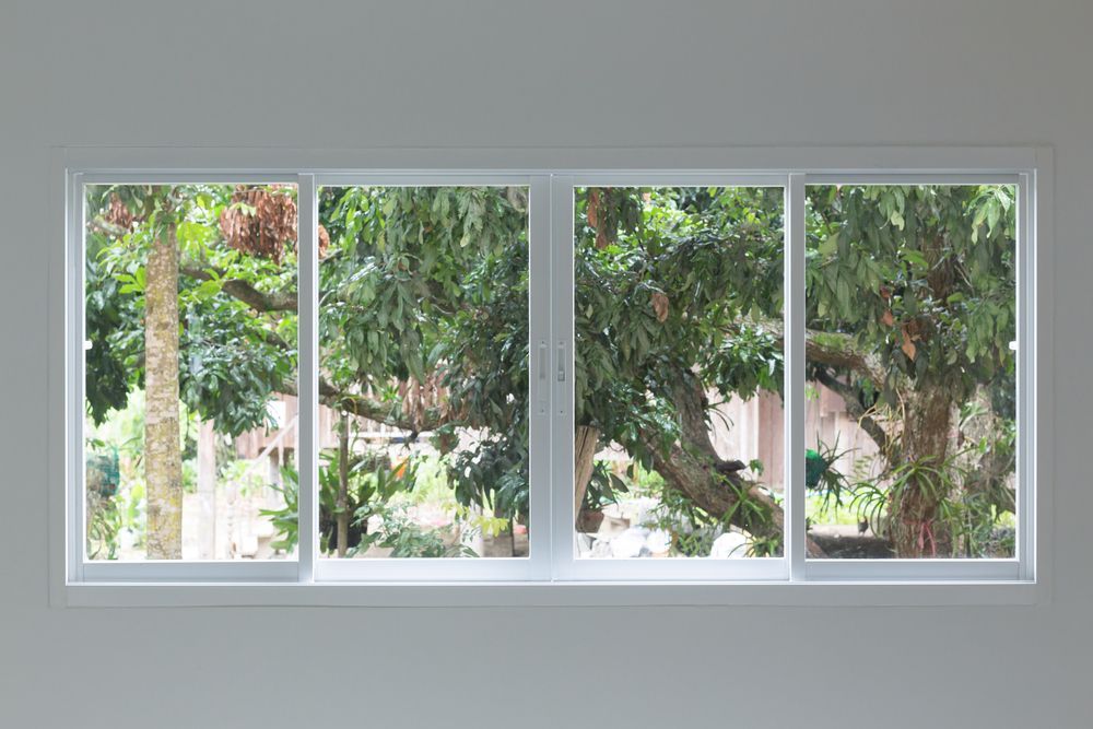A Large Window With A View Of Trees In A Room — Glass 24/7 In Taree, NSW