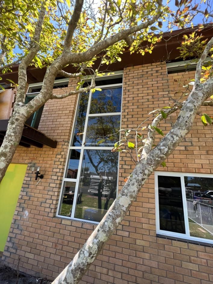 A Brick Building With A Large Window And A Tree In Front Of It — Glass 24/7 In Pacific Palms, NSW