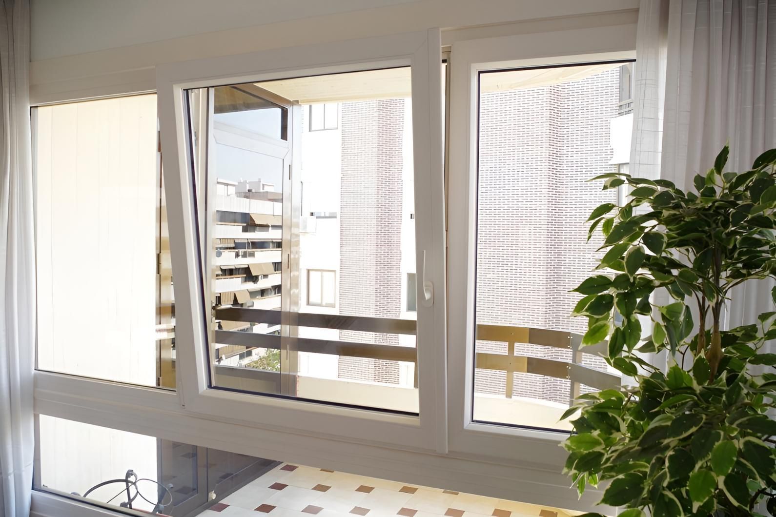 A Living Room With A Large Window And A Plant In Front Of It — Glass 24/7 In Hallidays Point, NSW