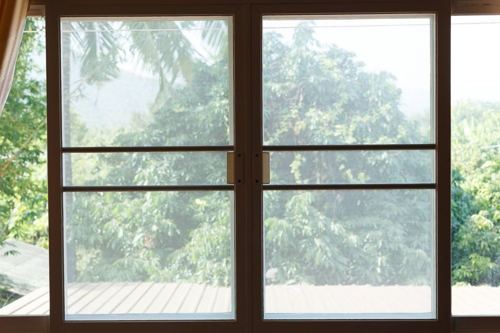 An Empty Window With A View Of Trees Outside — Glass 24/7 In Taree, NSW