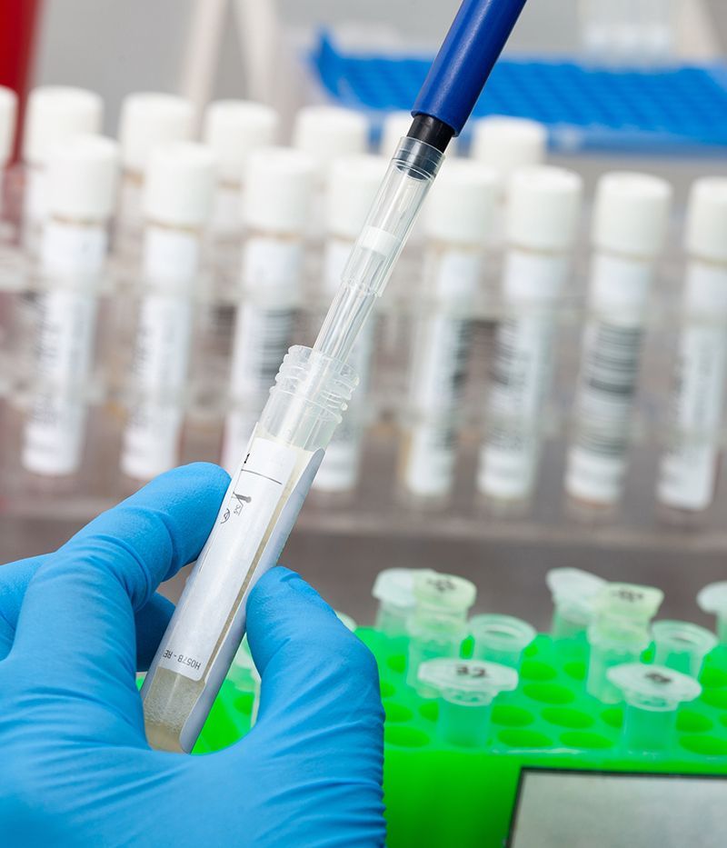 Extracting DNA