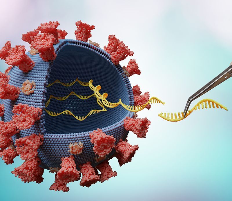 Modifying Genes In RNA Virus Modifying Genes In RNA Virus