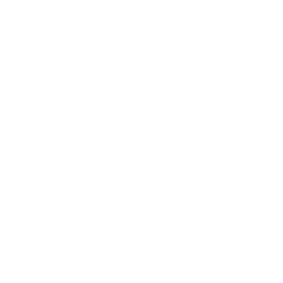 prolux electrical logo