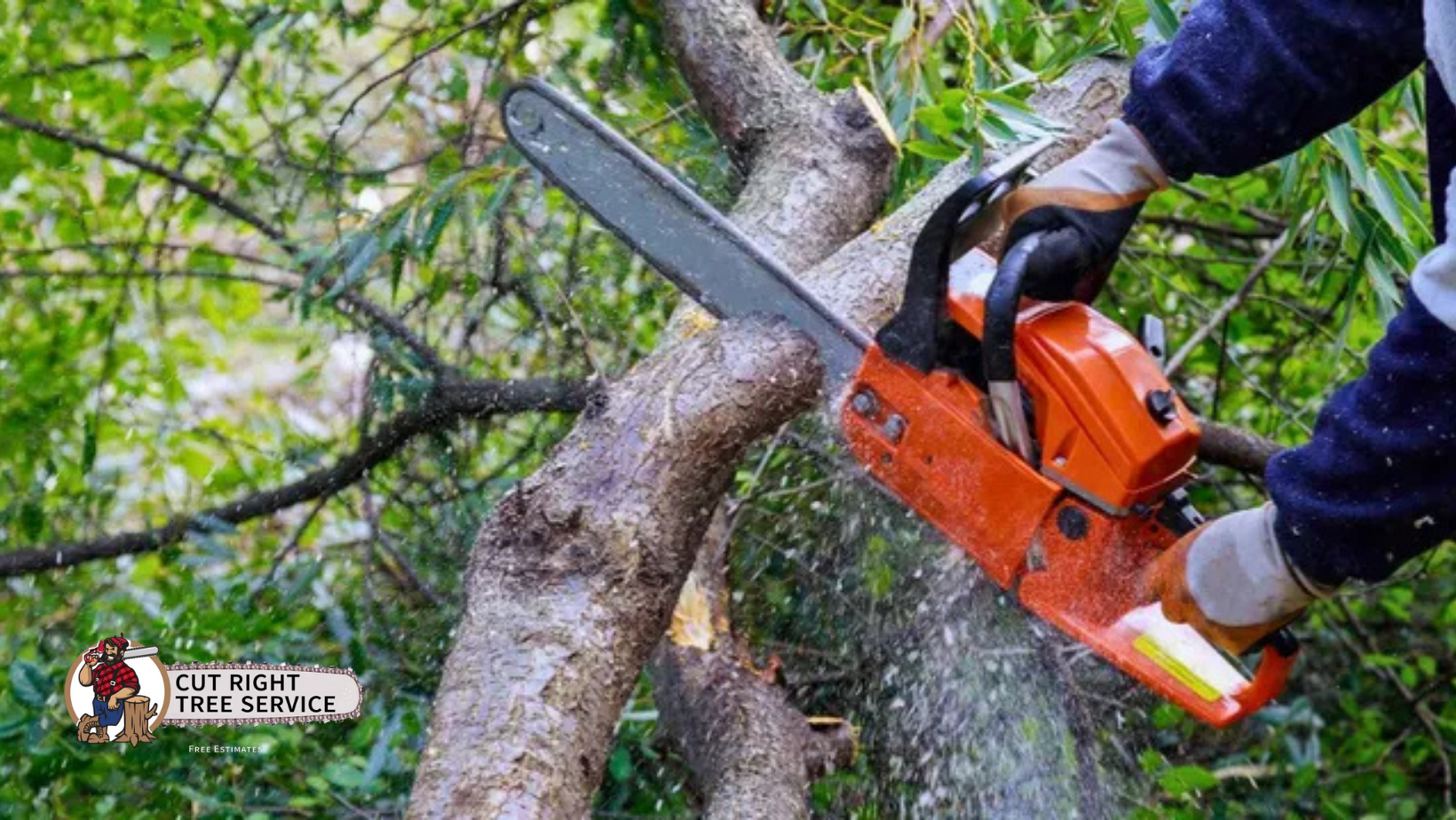 A person in work gloves using an orange chainsaw to cut through a thick tree branch in a wooded area.