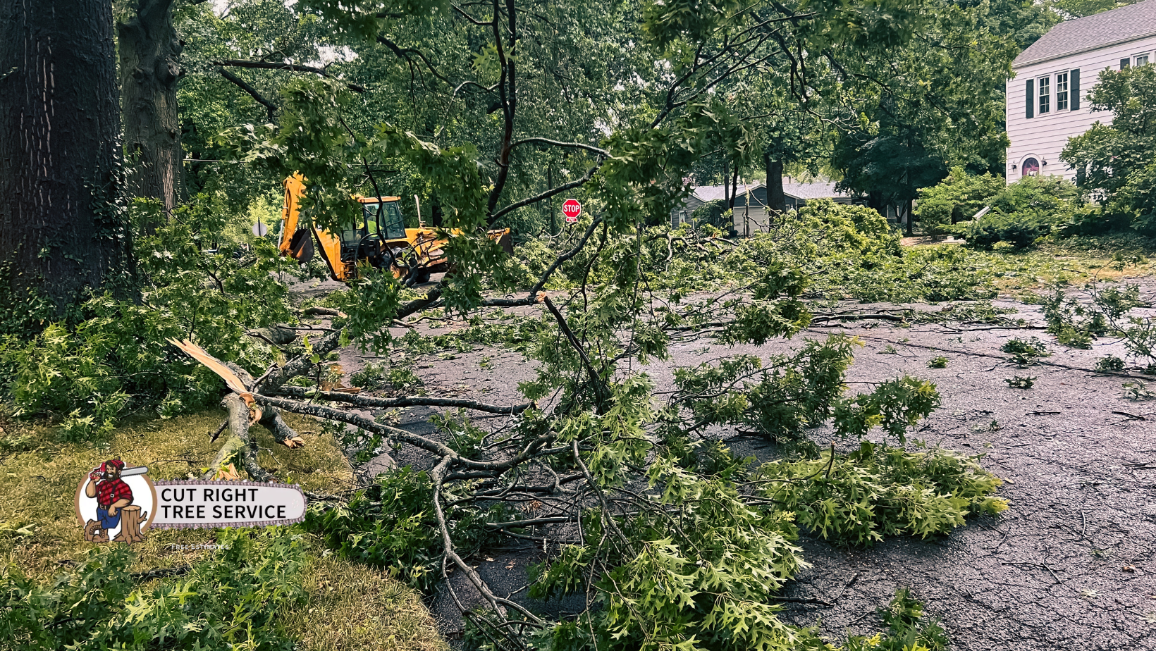 Debris-strewn yard after a storm; fallen branches, trees, and damaged foliage. A sign is in the foreground.