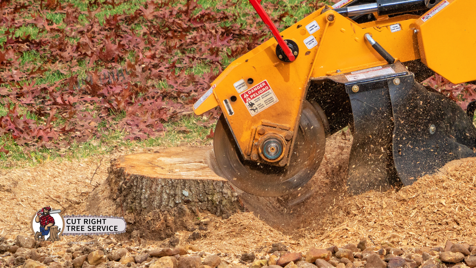 A yellow stump grinder cuts into a tree stump, creating wood chips on the ground near grass and stones.