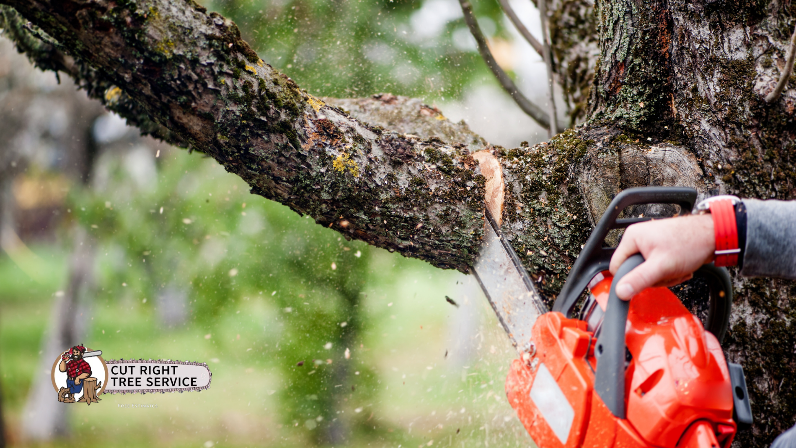 Person using an orange chainsaw to cut a tree branch outdoors; sawdust in air.
