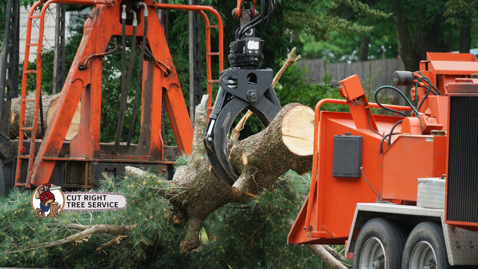 An orange tree-chipping machine holding a tree trunk with a grapple; green foliage.