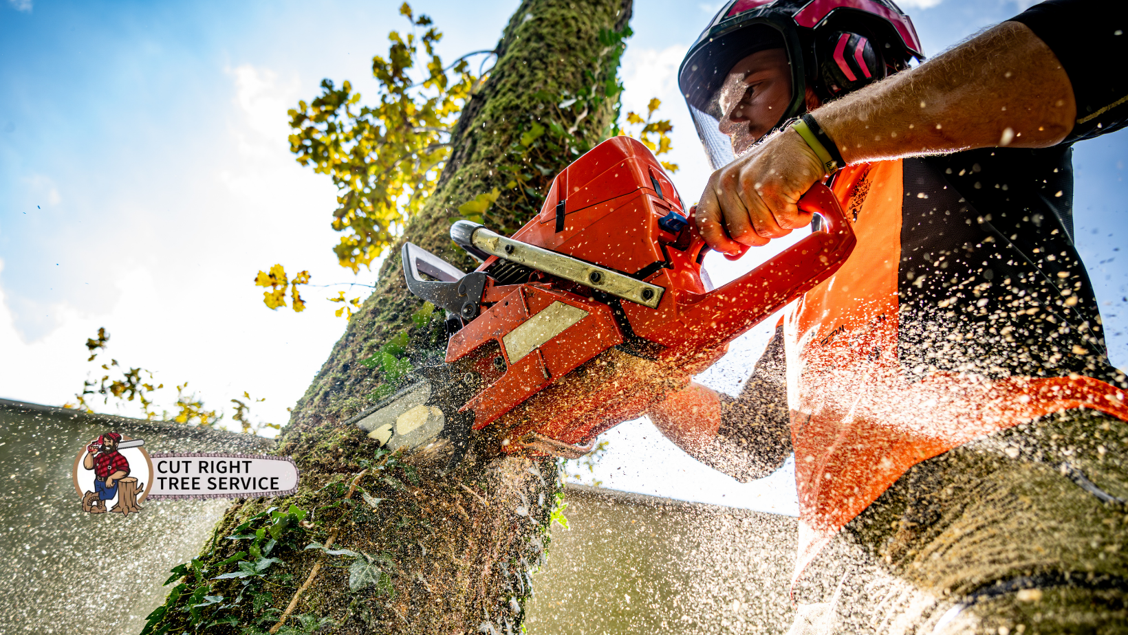 Arborist in safety gear using a chainsaw on a tree, generating sawdust.