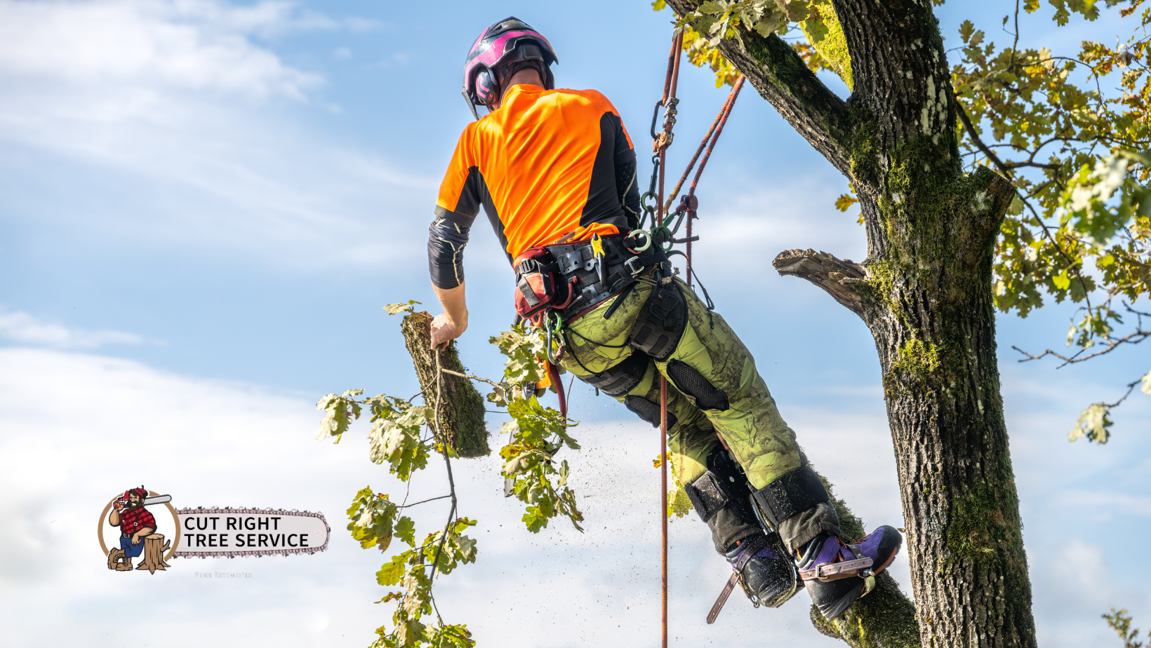 A tree service worker in safety gear climbs a tree, cutting branches with a chainsaw, with the company logo in the corner.