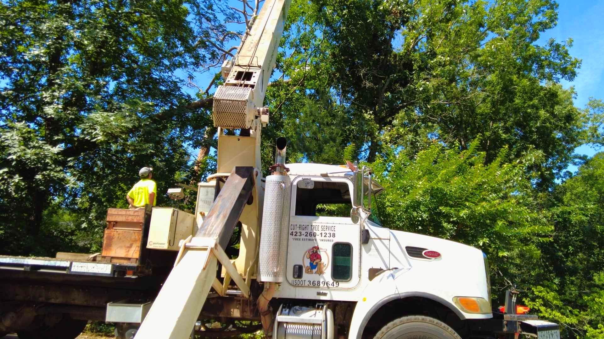 A white utility truck with a raised boom arm parked in a wooded area with a worker visible on the back flatbed.