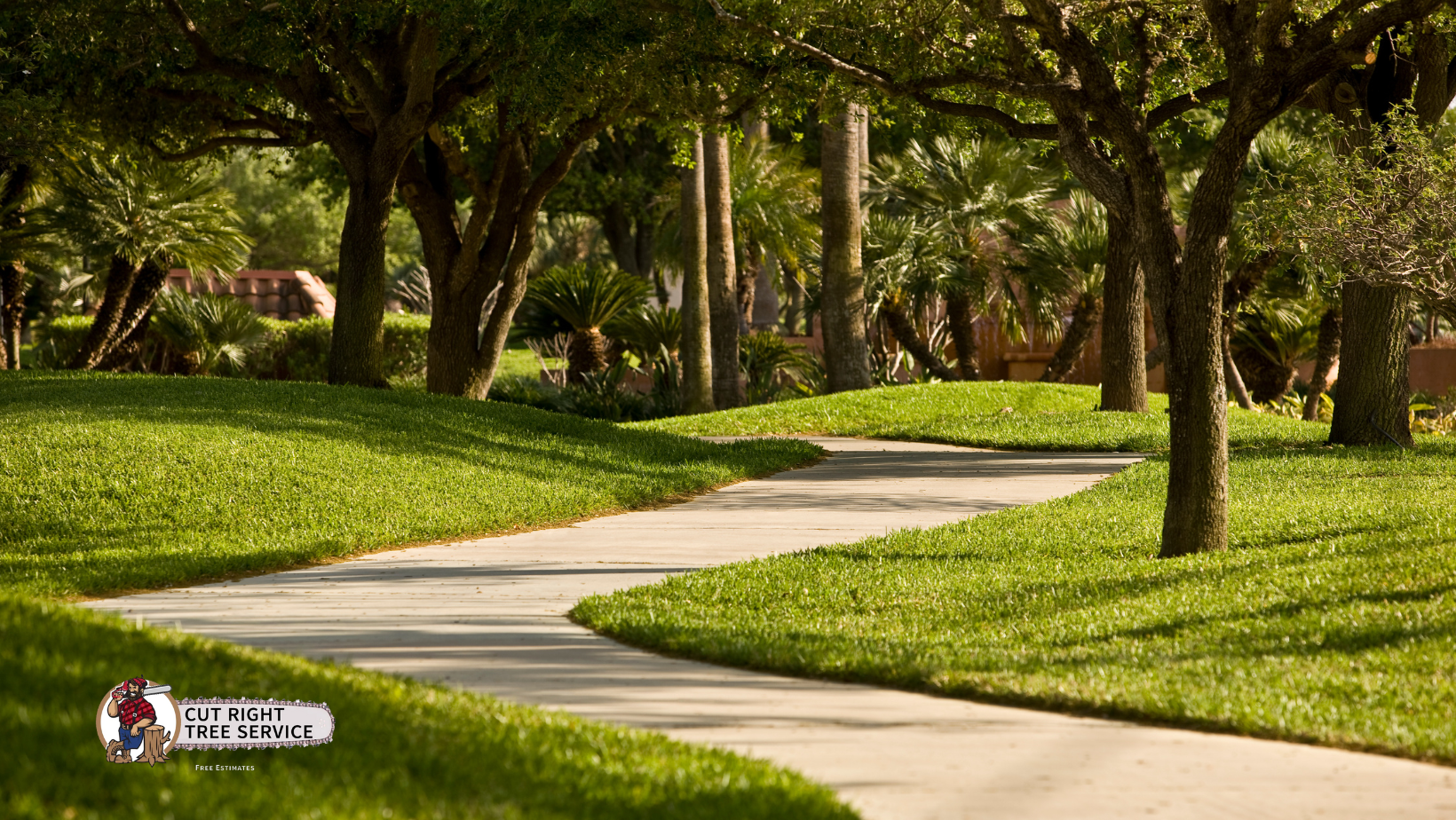 A winding concrete path cuts through a lush, green grassy park shaded by large trees.