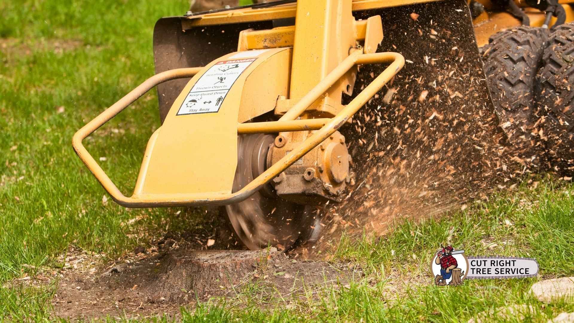 A stump grinder in action, carving into a tree stump surrounded by grass, with wood chips flying and a logo visible.