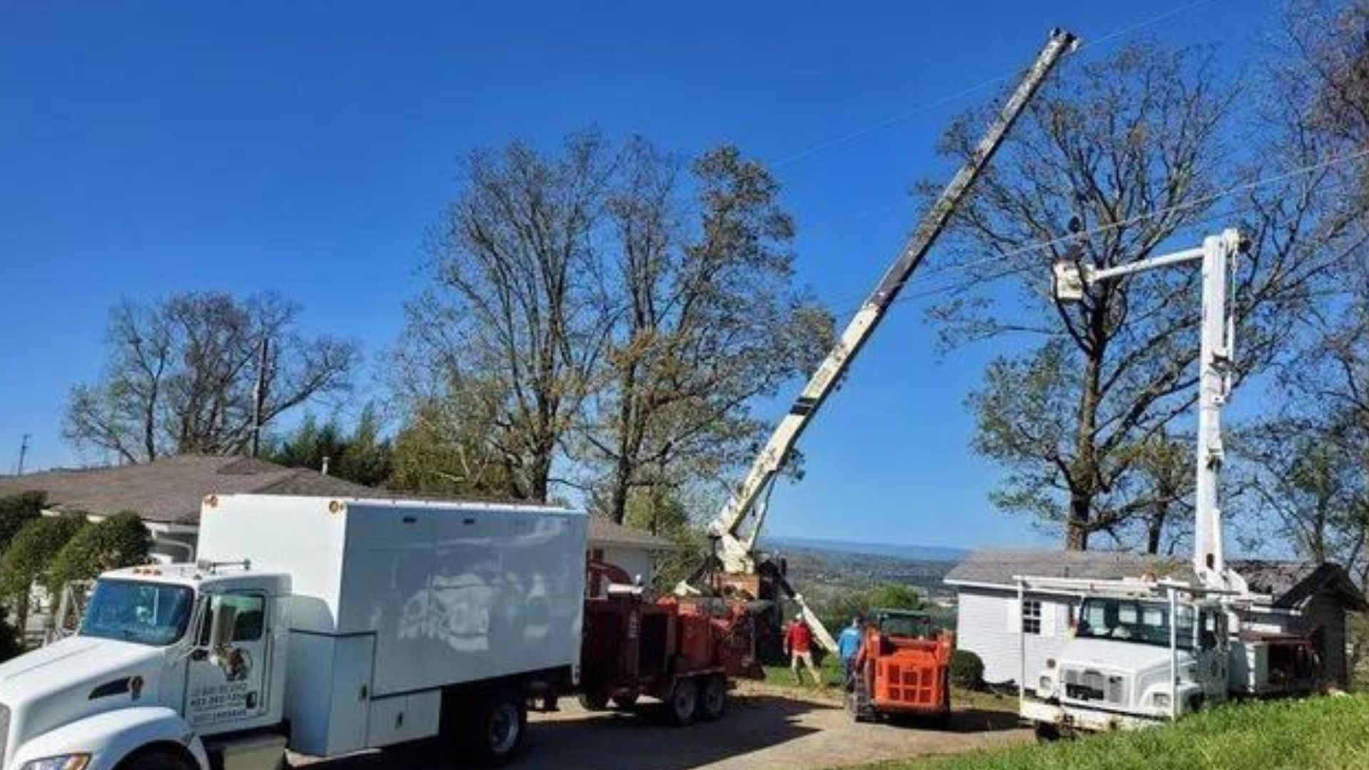 Cut Right Tree Service A view of a tree service crane 