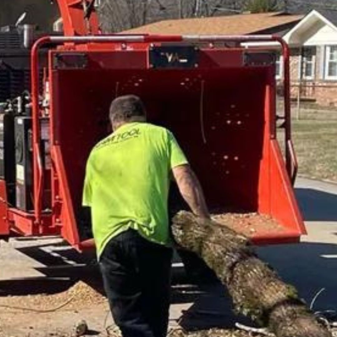 Cut Right Tree Service Mulcher
