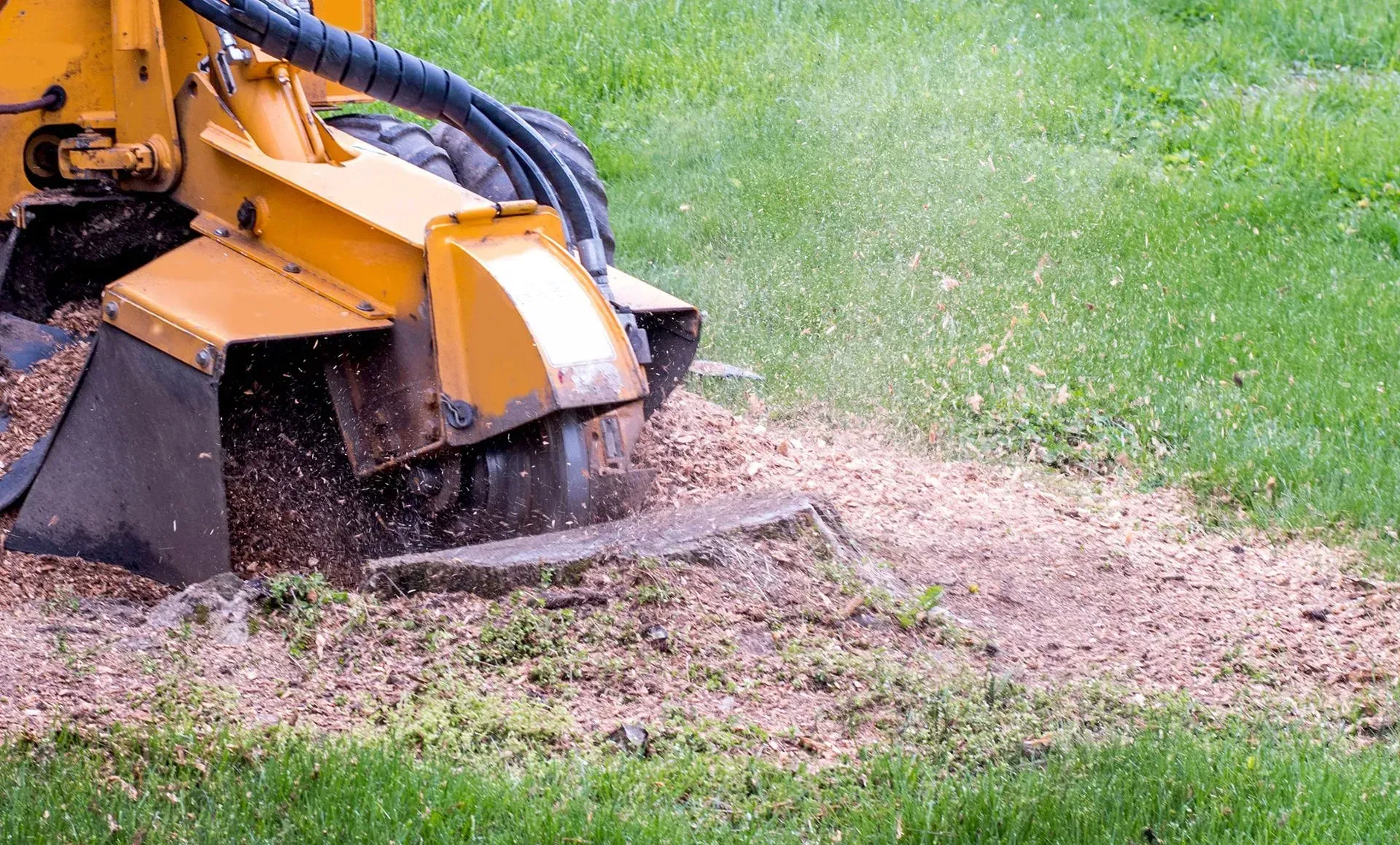 Cut Right Tree Service Stump Grinder