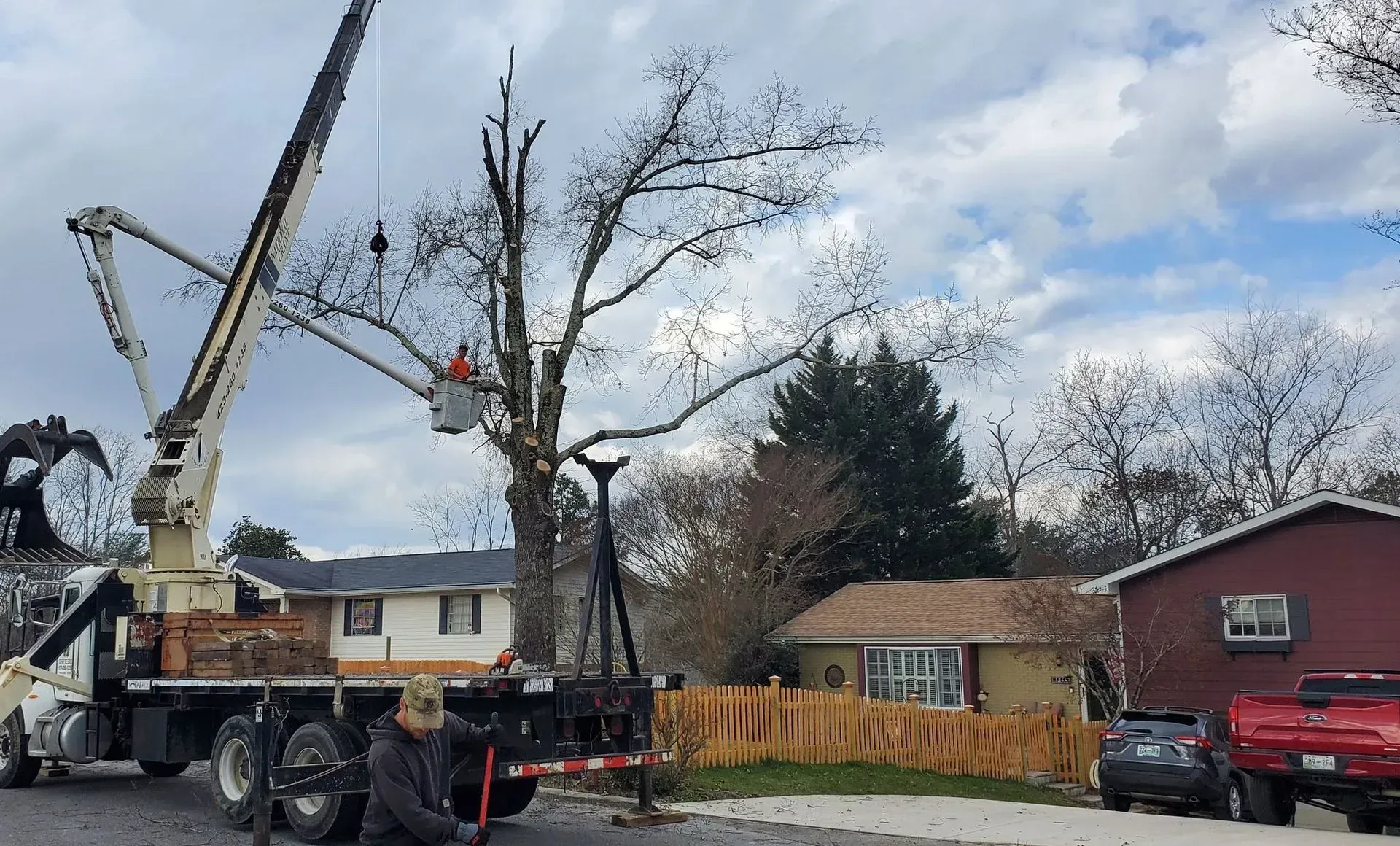 Cut Right Tree Service A view of a tree service crane