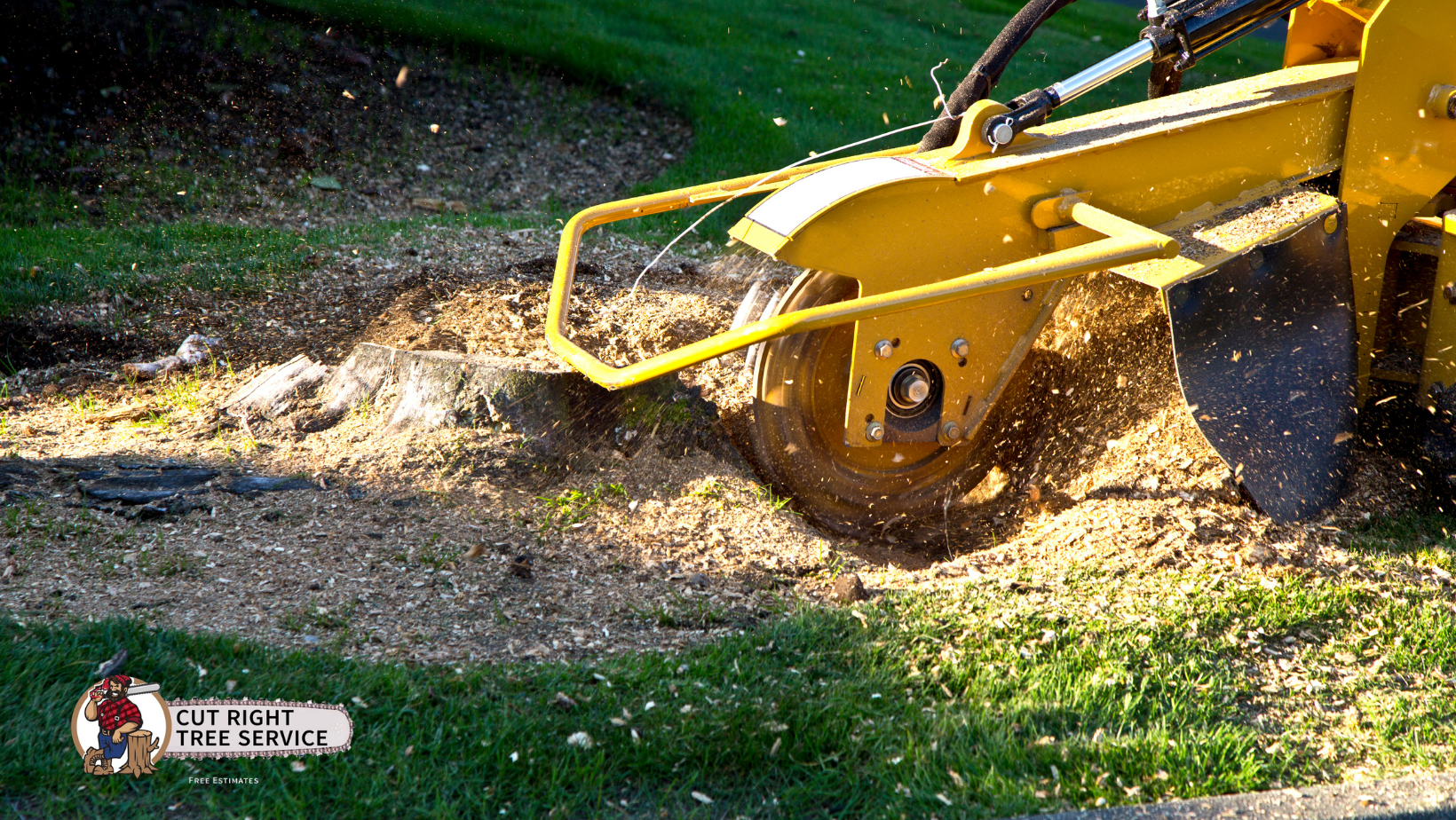 A yellow industrial stump grinder shaving a tree stump into wood chips on a lawn.