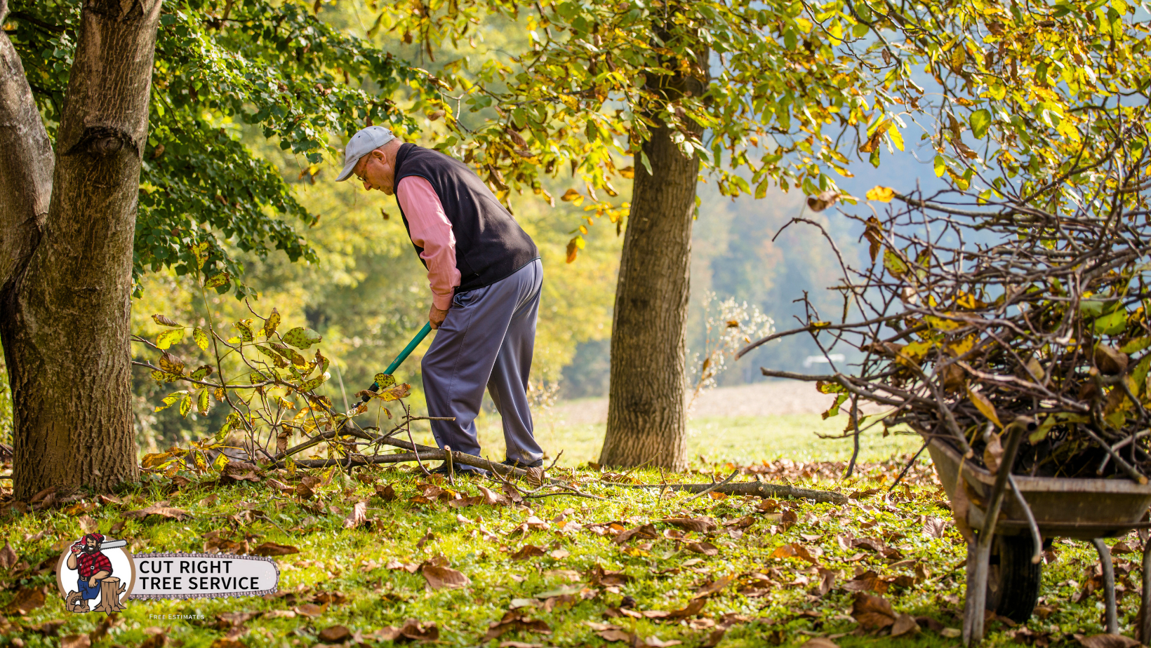 A person in a vest and hat rakes fallen leaves in a sunlit orchard, with a wheelbarrow filled with branches nearby.