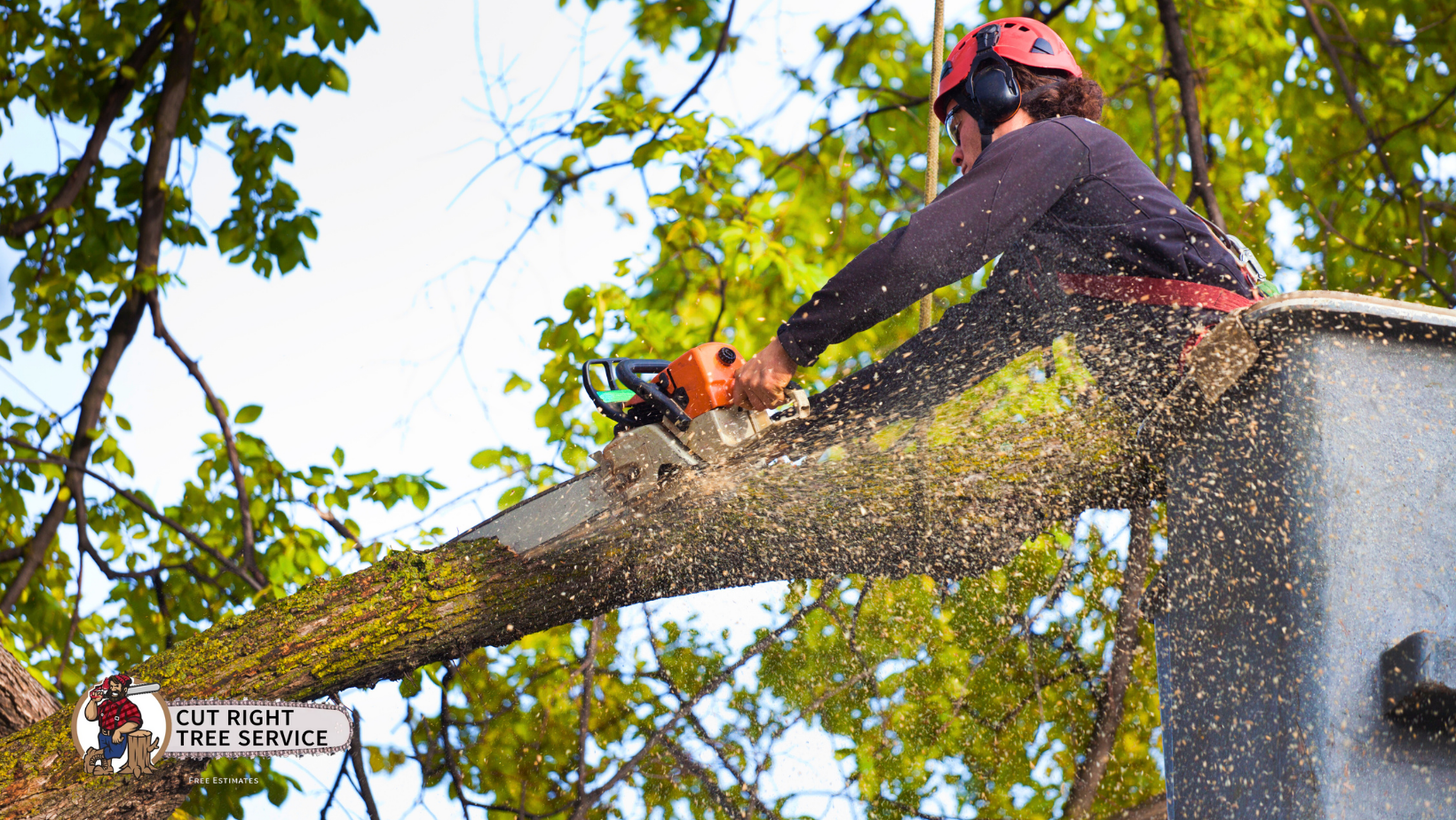 A person in a helmet and harness uses a chainsaw to trim a tree branch while suspended in a lift bucket.