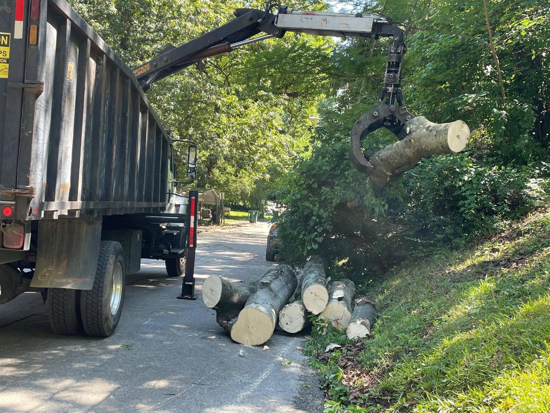 Tree Service Chattanooga TN | Cut Right Tree Service