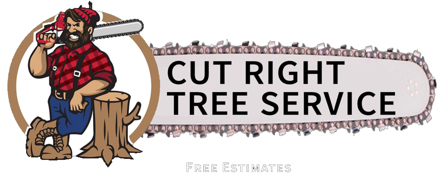Tree Service Chattanooga TN | Cut Right Tree Service
