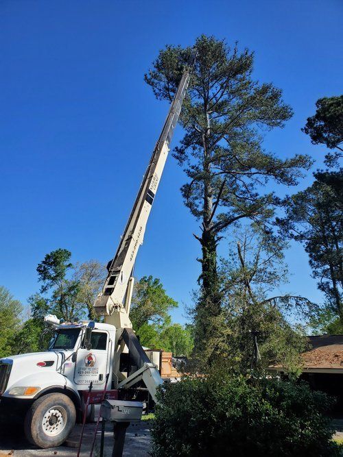 Tree Service Chattanooga TN | Cut Right Tree Service