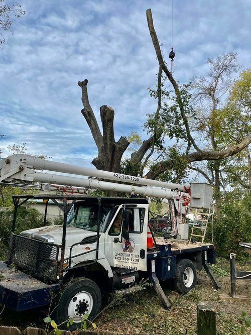 Cut Right Tree Service View of Tree Service Equipment
