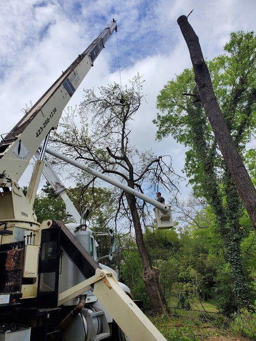 Cut Right Tree Service A view of a tree service crane 