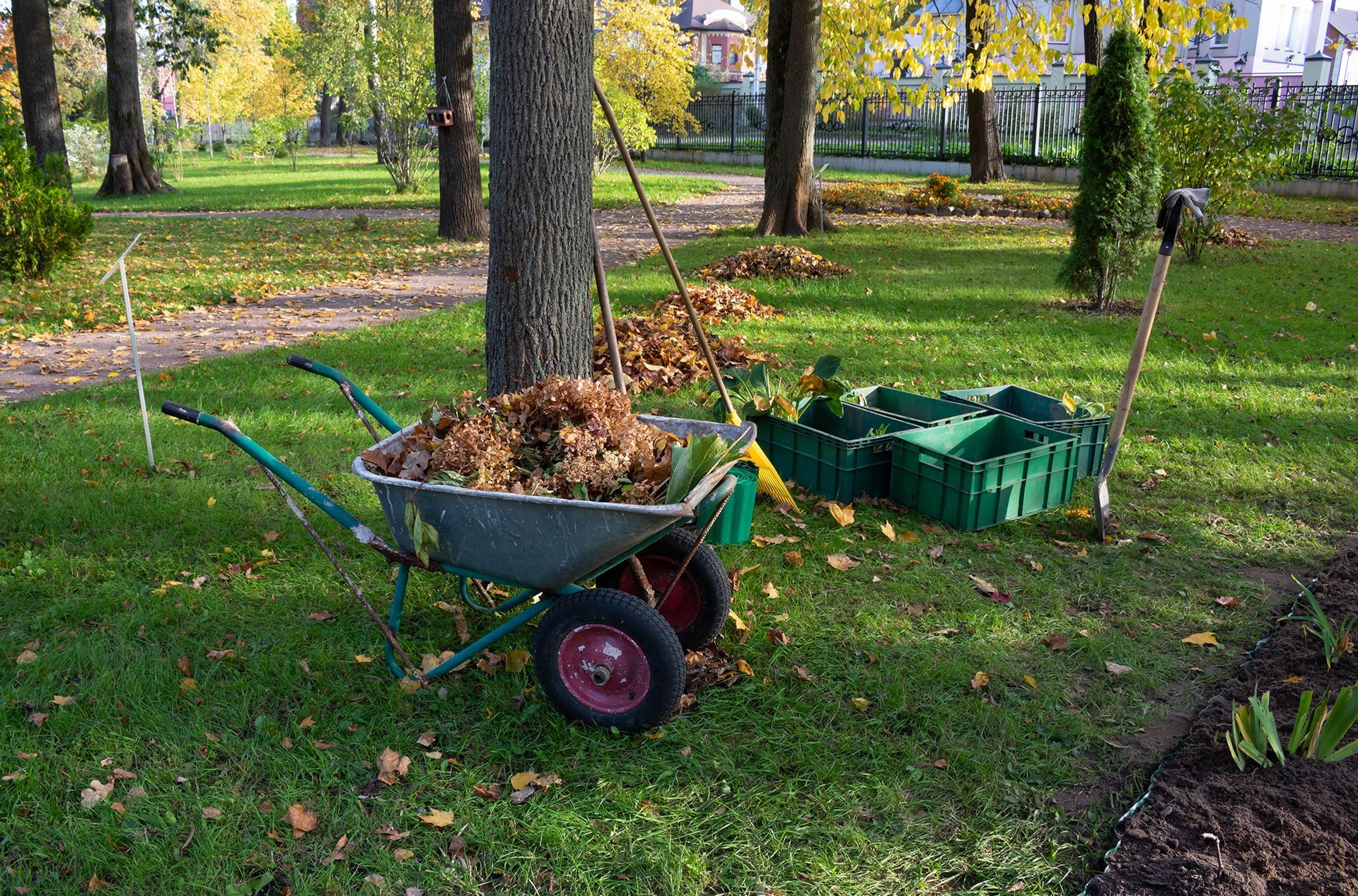 a wheelbarrow filled with dirt next to a tree