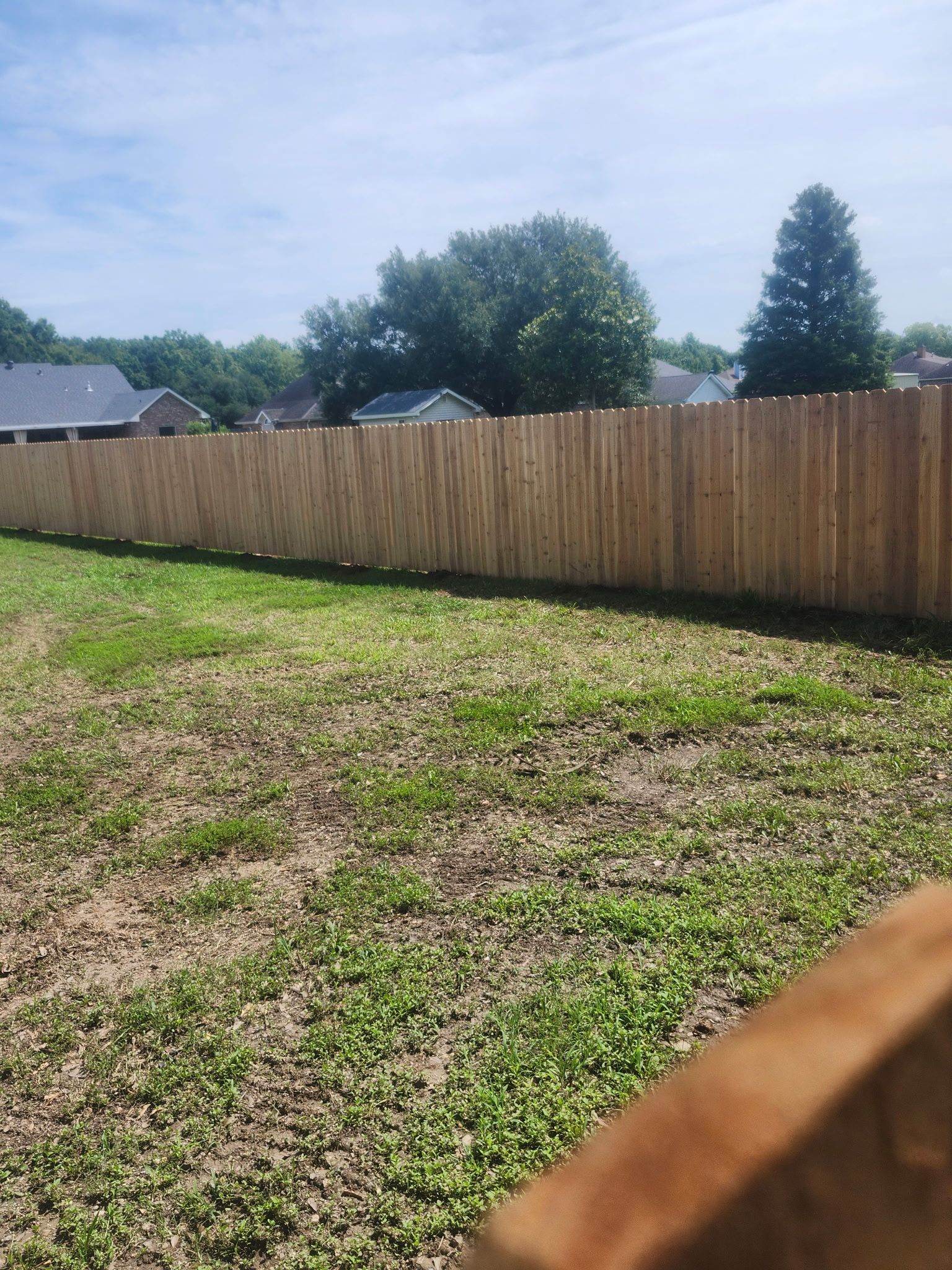Backyard with patchy grass and a wooden privacy fence under a bright sky