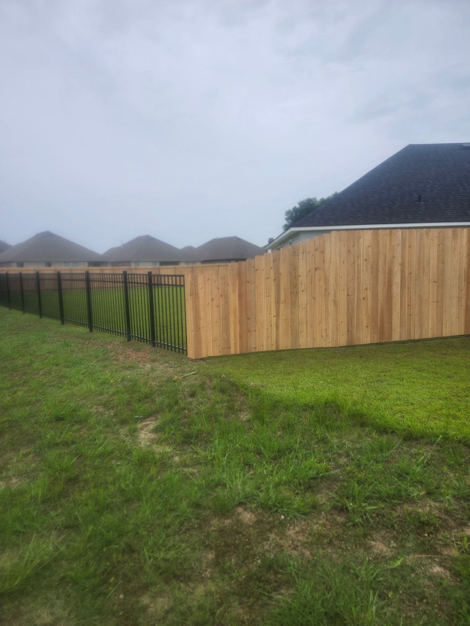 Backyard with a wooden privacy fence and grassy lawn under a cloudy sky
