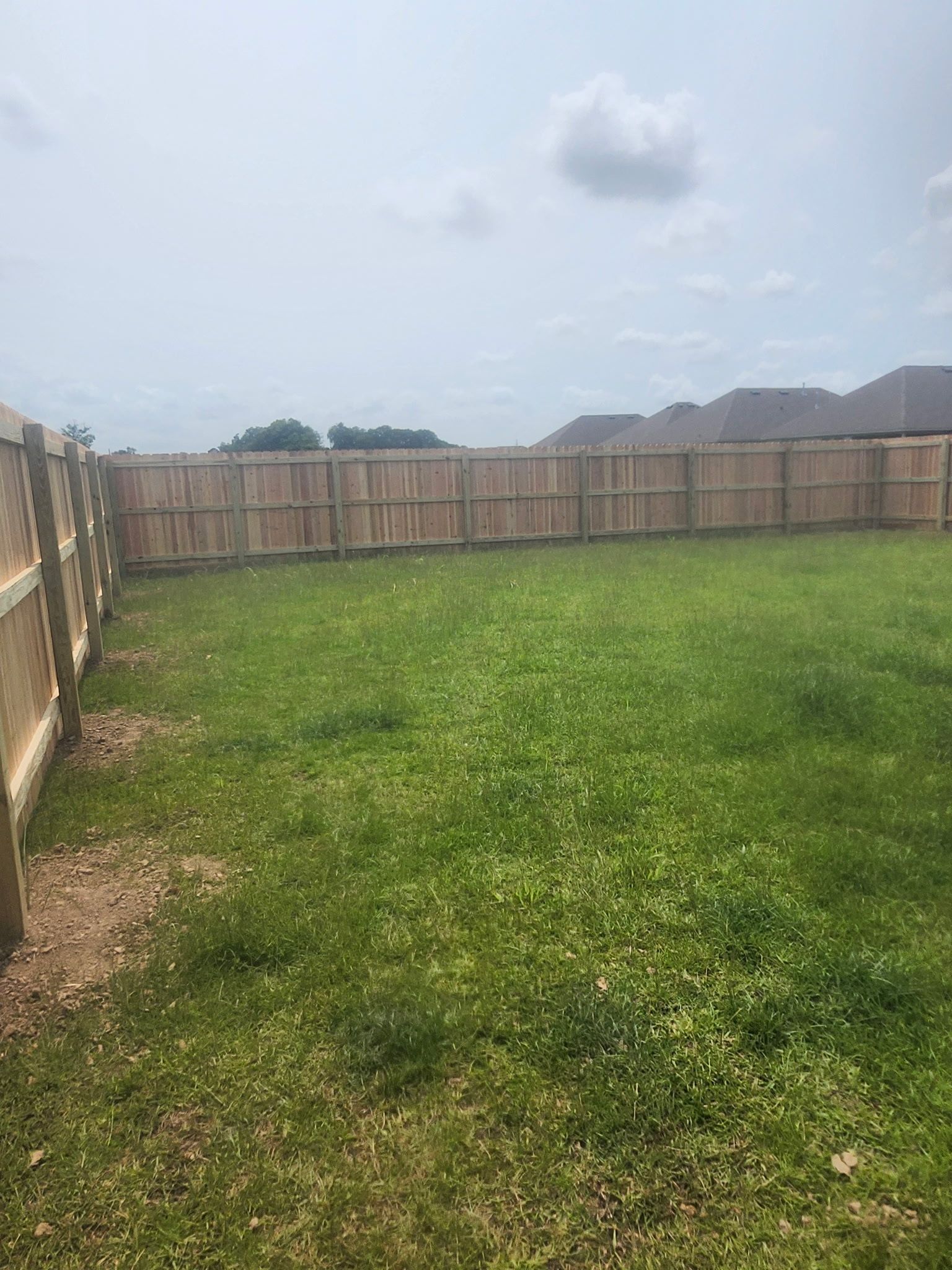 Empty grassy backyard with a wooden fence and cloudy sky.