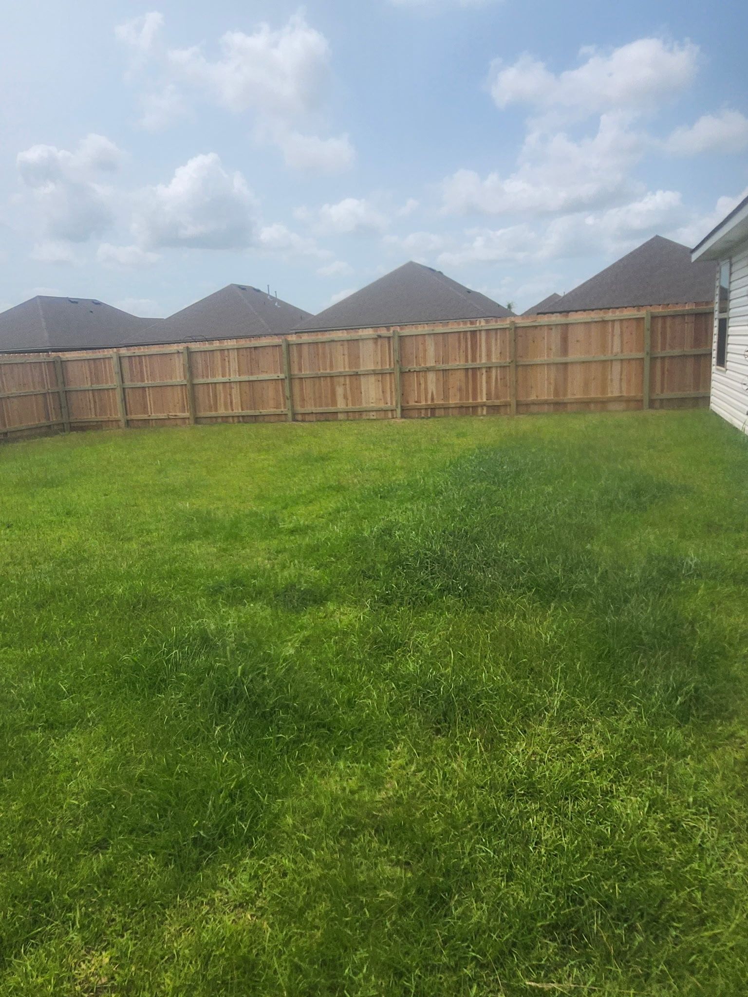 Grassy backyard with wooden fence, neighboring rooftops, and a partly cloudy sky