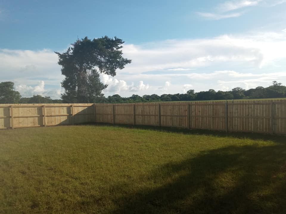 Grassy backyard with a wooden fence under a bright sky and a large tree in the distance