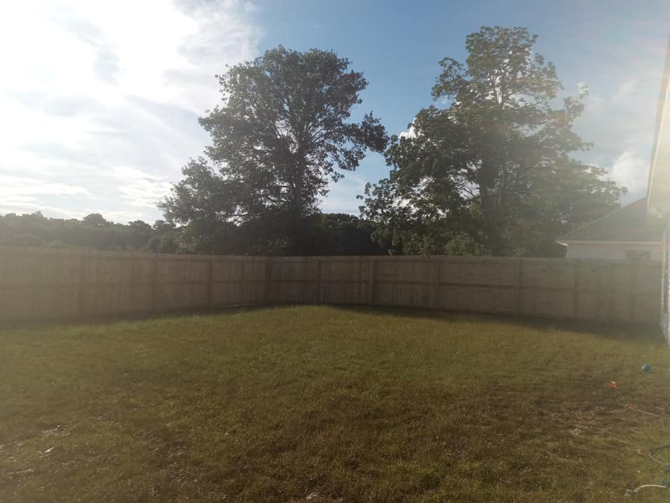 Sunny backyard with a wooden fence, grassy lawn, and tall trees under a bright sky