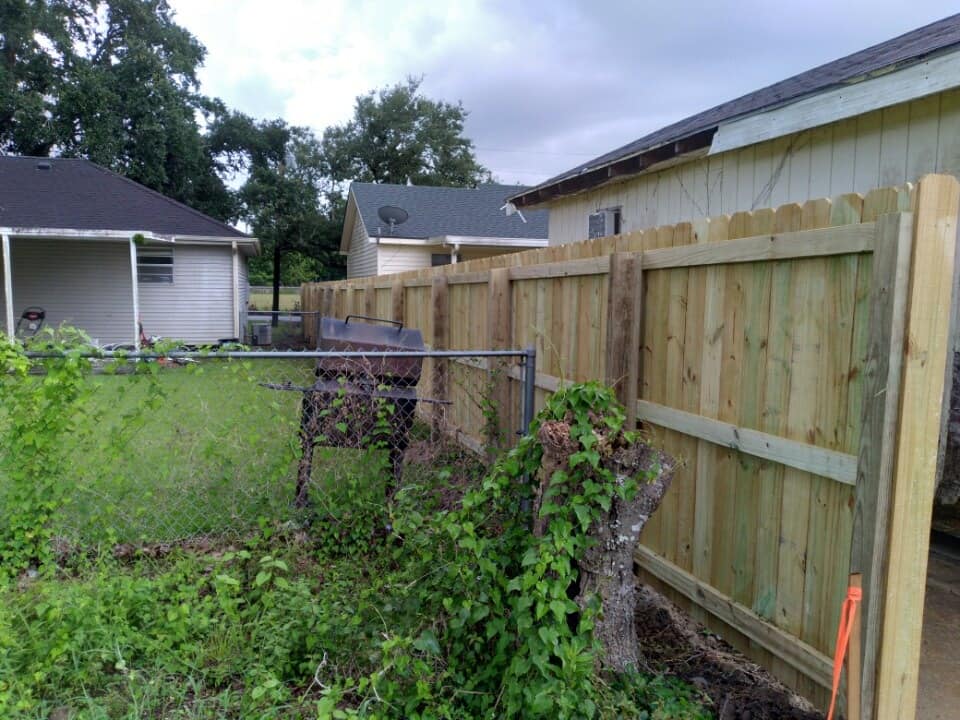 Backyard with green grass, wooden fence, and overgrown plants beside neighboring houses