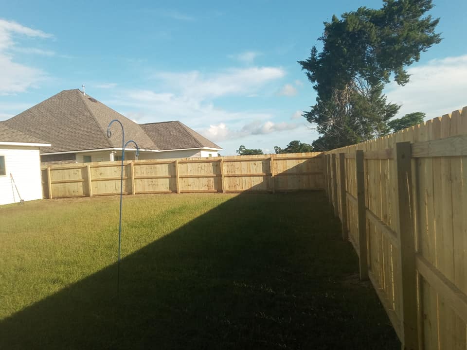 Sunny backyard with green lawn, wooden fence, and houses under a blue sky