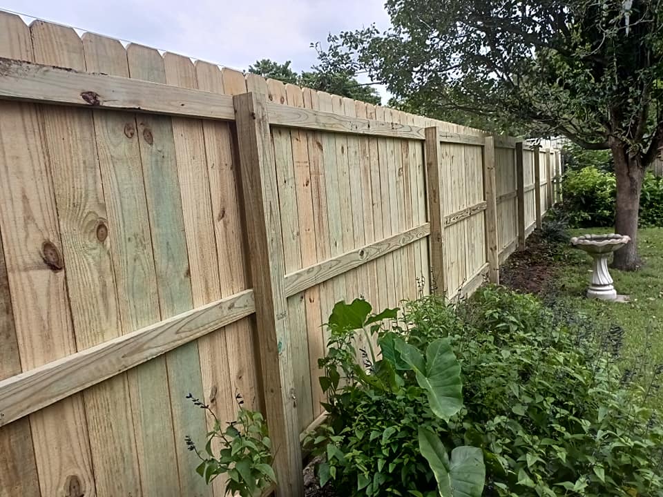 Wooden privacy fence along a garden path with shrubs and a tree