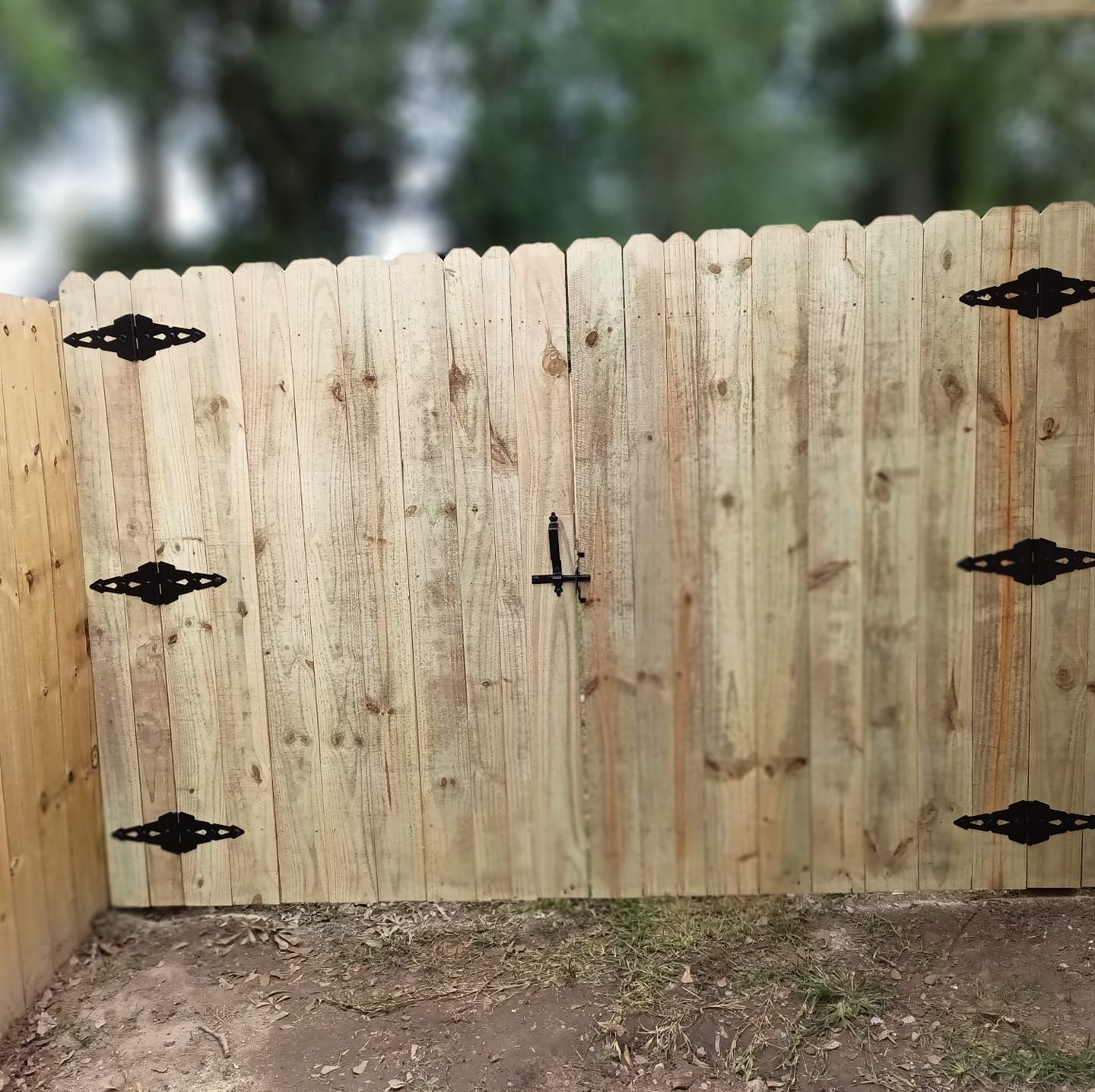 Wooden double gate with black hinges and handle in a fenced outdoor yard