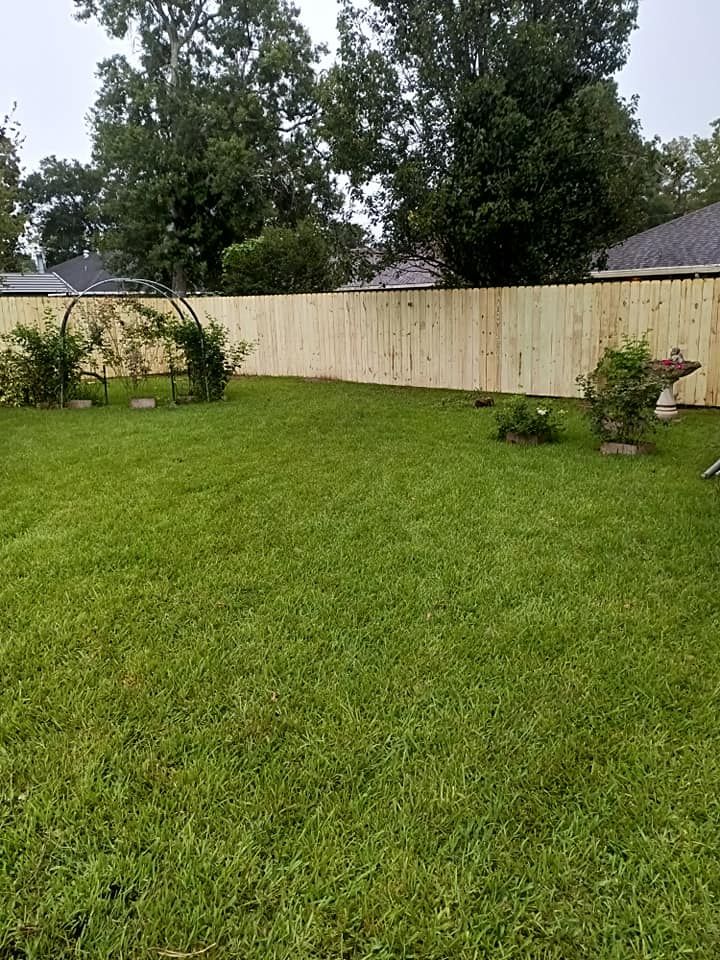 Grassy backyard with a light wood fence, shrubs, and tall trees under an overcast sky