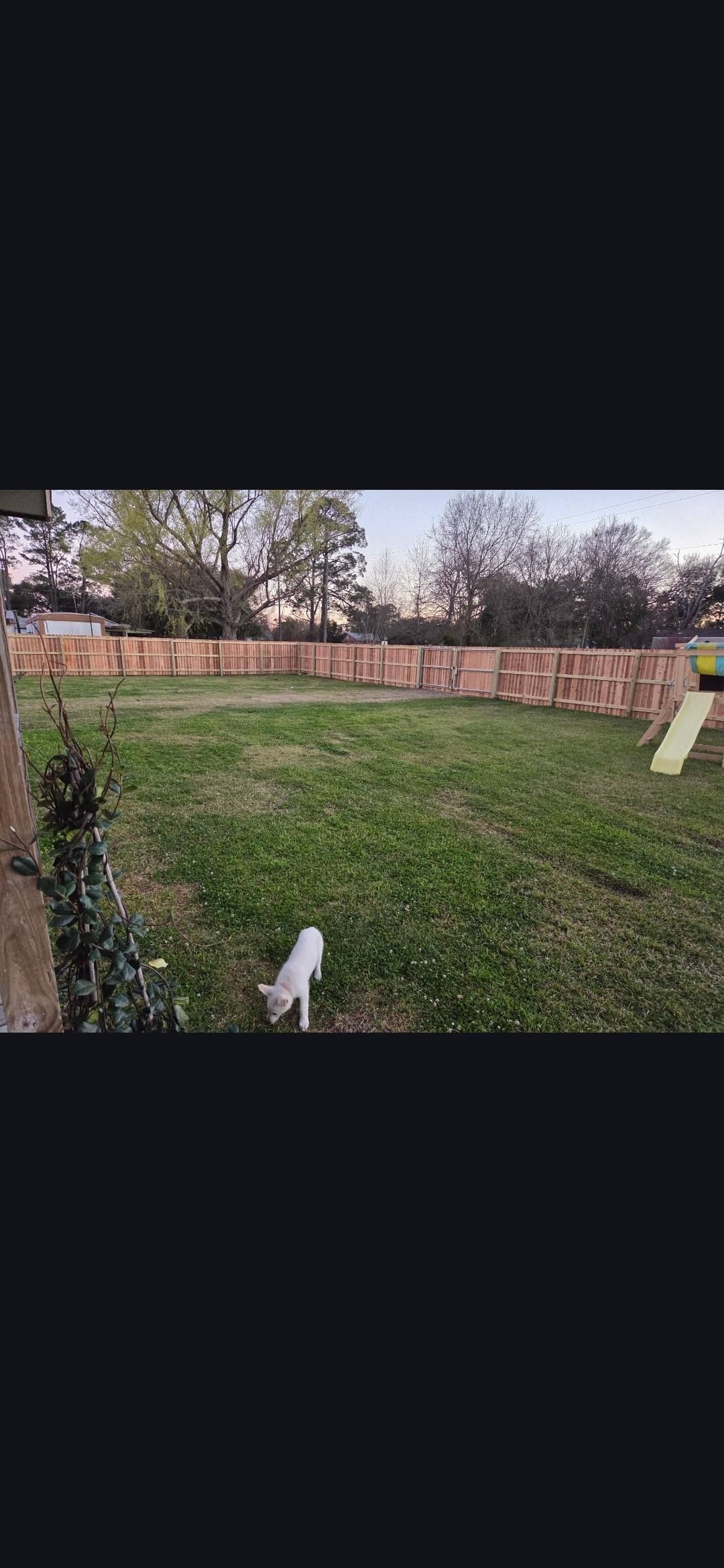 Grassy backyard with a brick wall, trees, and a hose in the foreground under an overcast sky