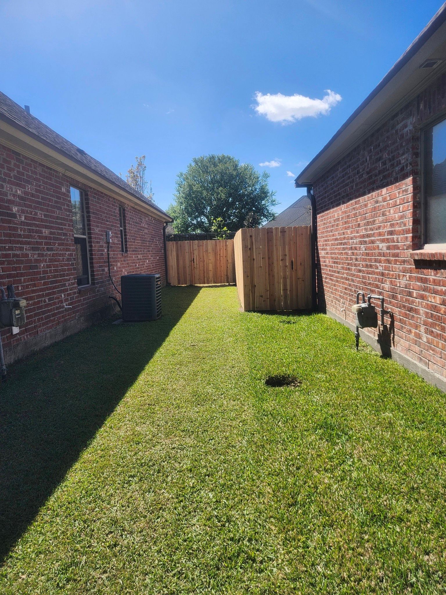 Narrow grassy backyard between brick houses with a wooden fence under a blue sky
