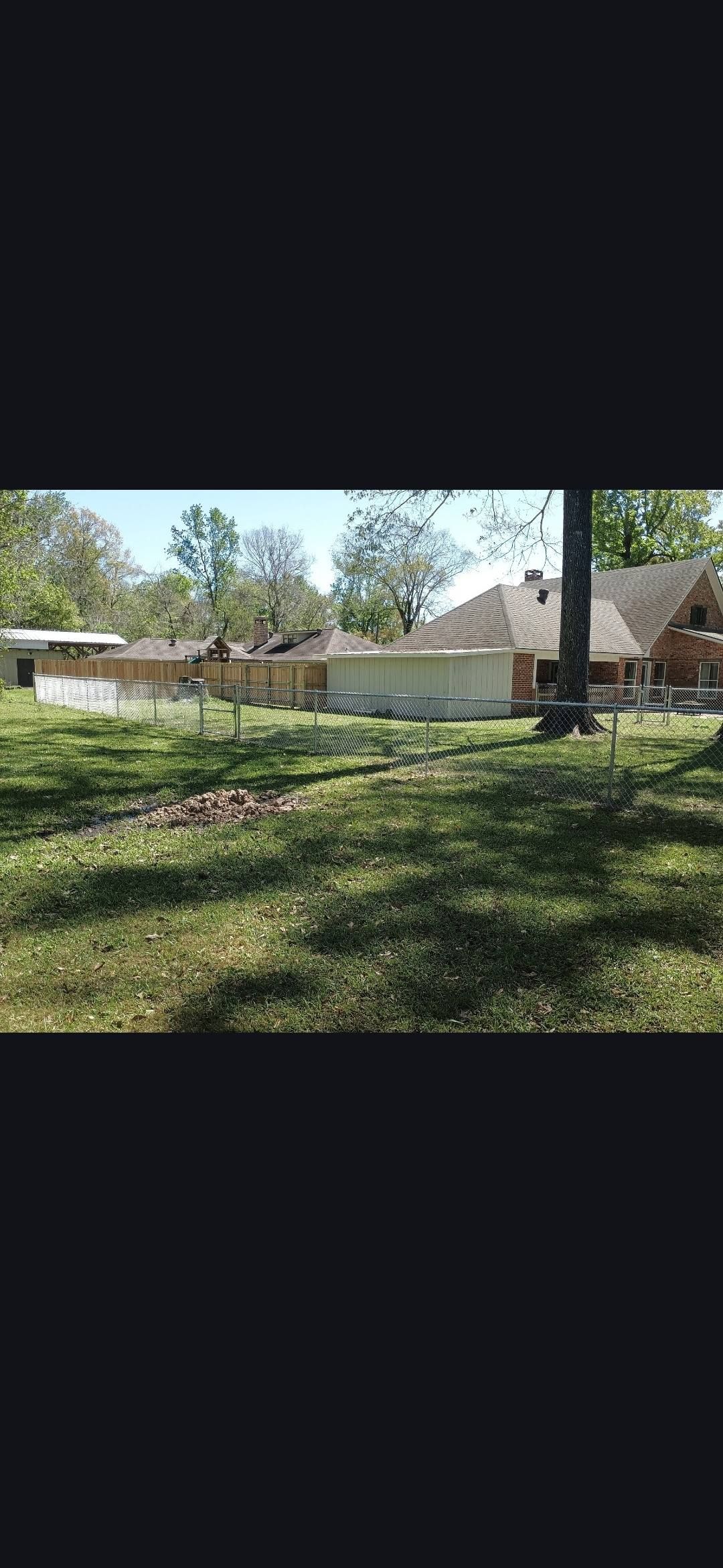 Backyard with green grass, trees, and a wooden fence in bright daylight.