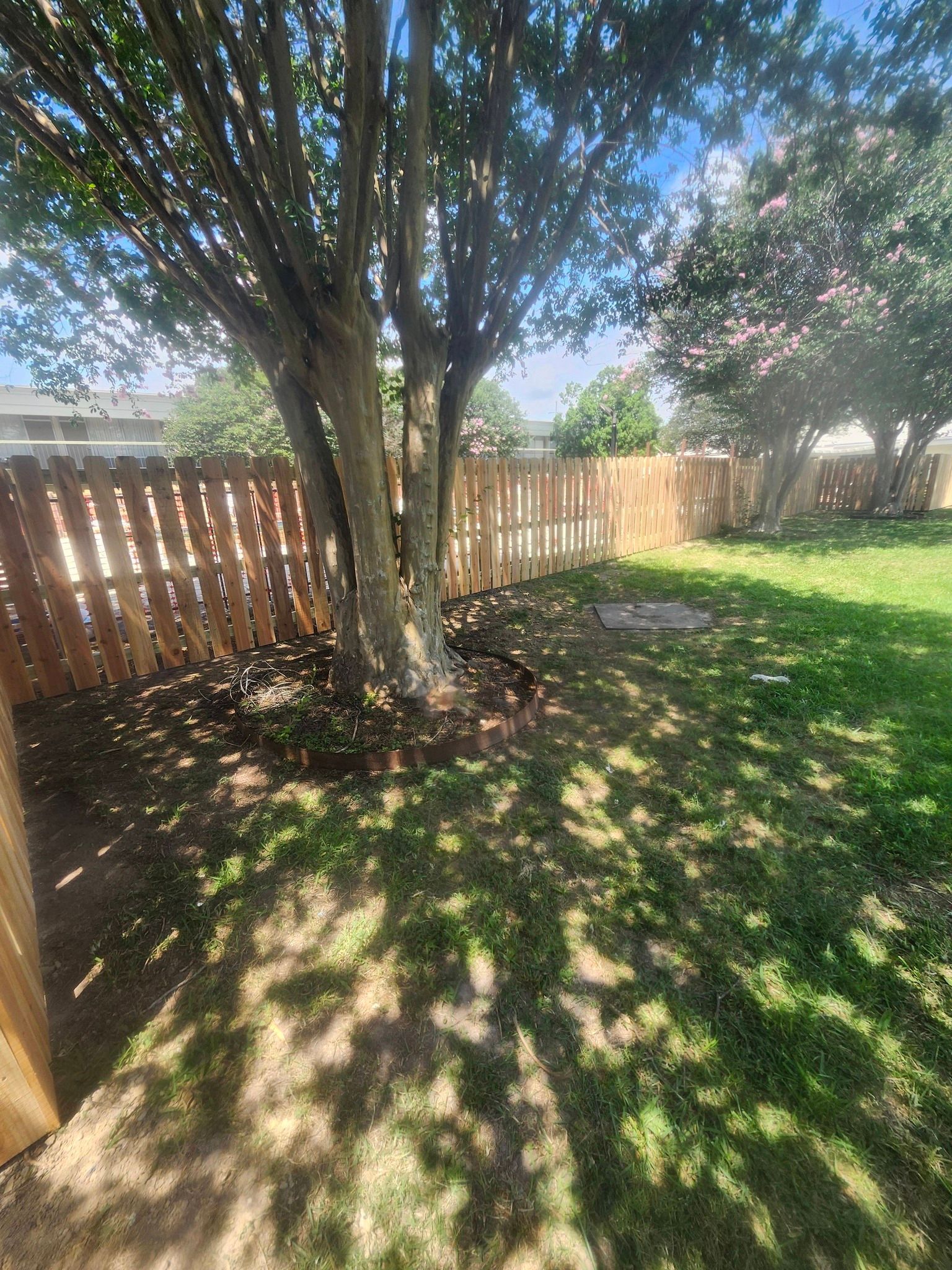 Shaded backyard with a large tree, wooden fence, and sunlit grass.