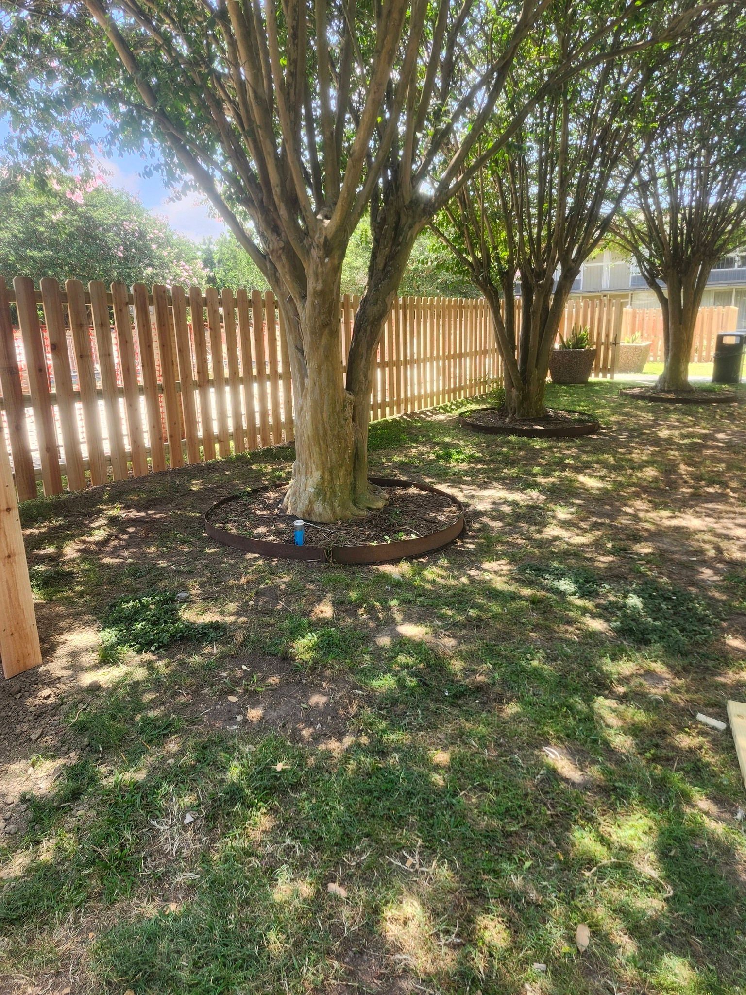 Shaded backyard with two large trees, a wooden fence, and patchy grass in sunlight.