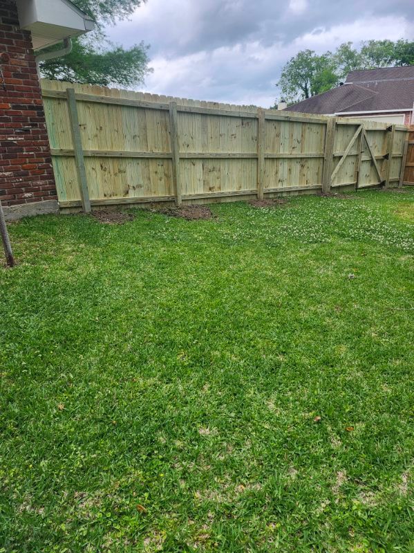 Grassy backyard with a wooden privacy fence and cloudy sky.